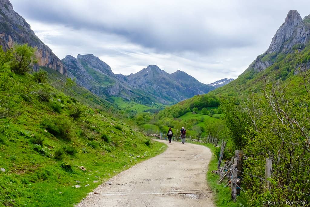 Hiking Trails