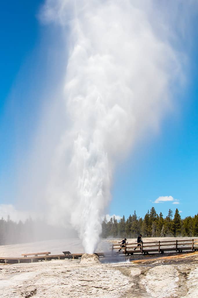 The Beehive Shower