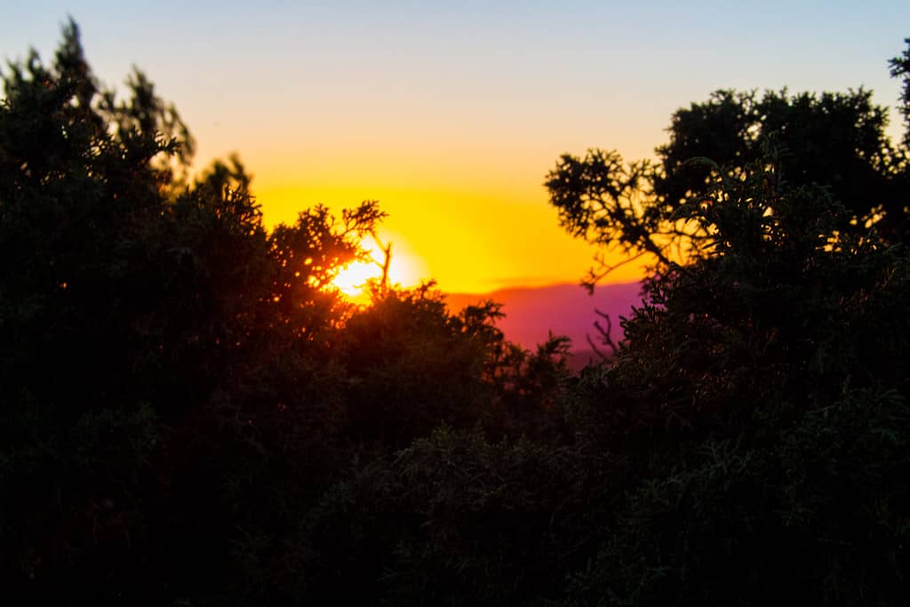Sunrise Spectacle