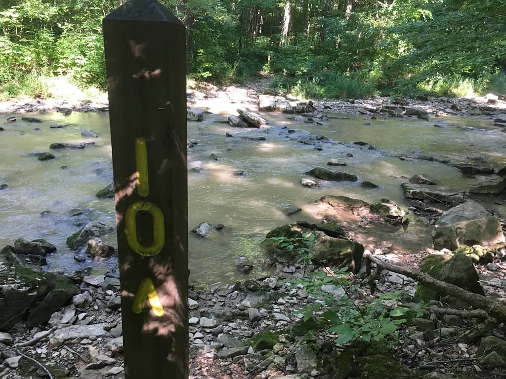Scenic Hiking Trails