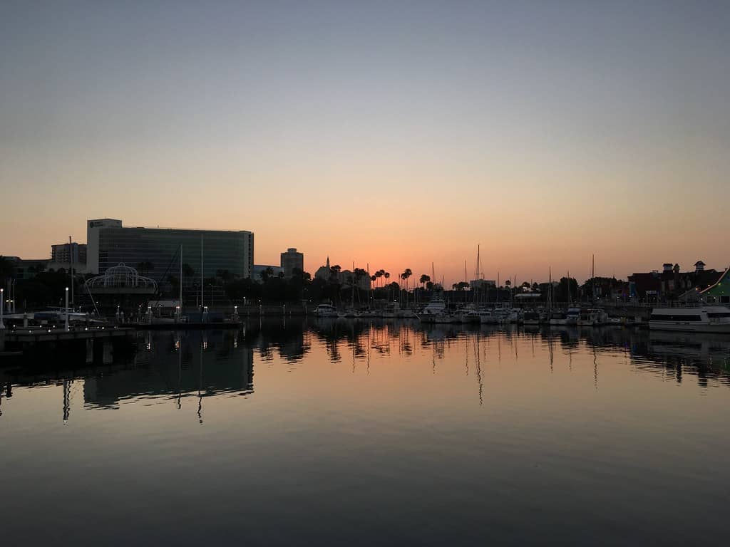 Sunset Views