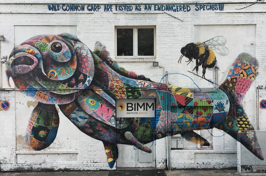 Street Art Wonderland