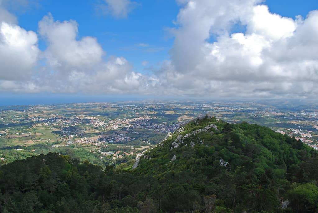 Panoramic Views