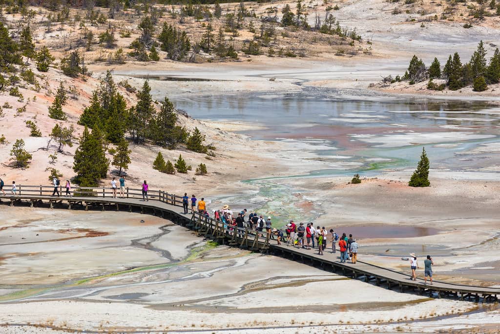 The Boardwalk Trail Experience