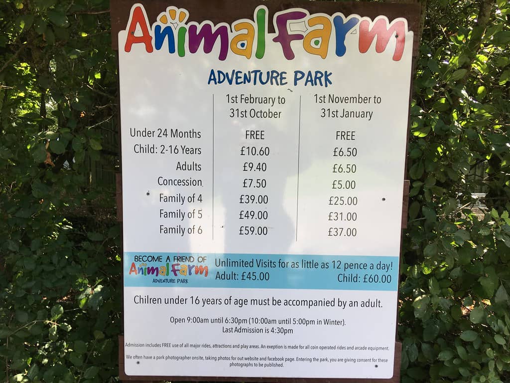 Petting Farm Fun