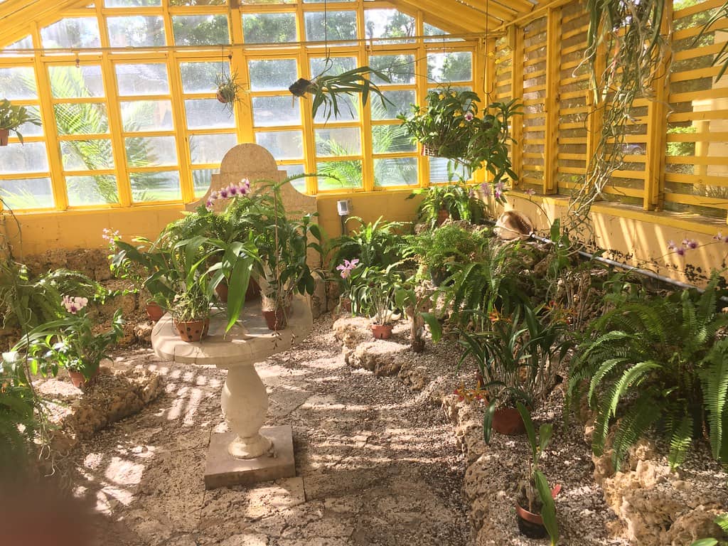 Tropical Gardens