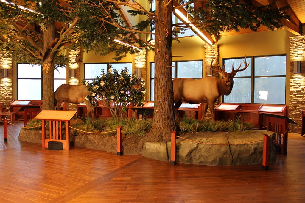 Nature Center Exhibits