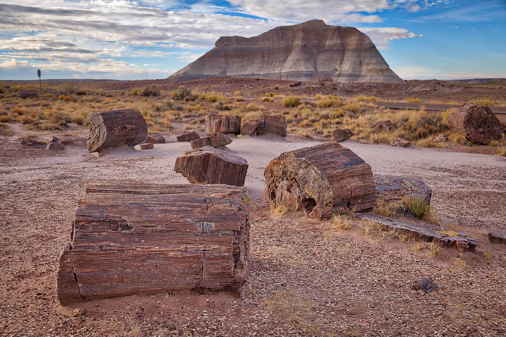 Route 66 Relics
