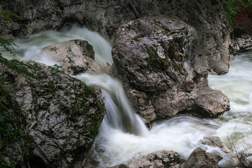 Scenic Walking Trails