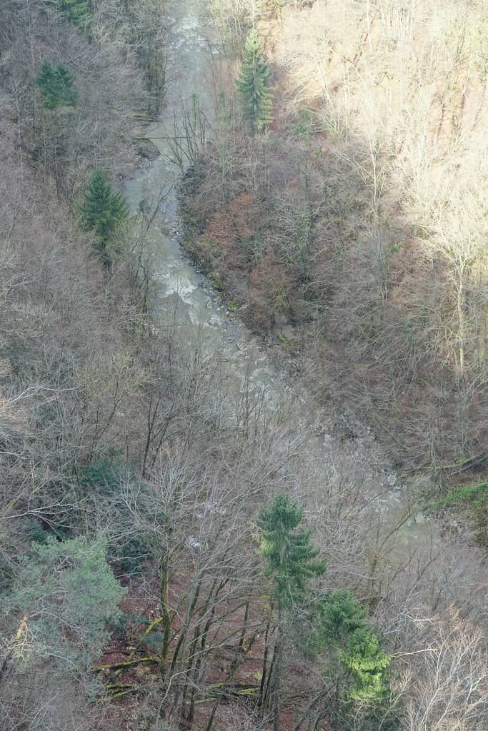 Usses Canyon Vistas