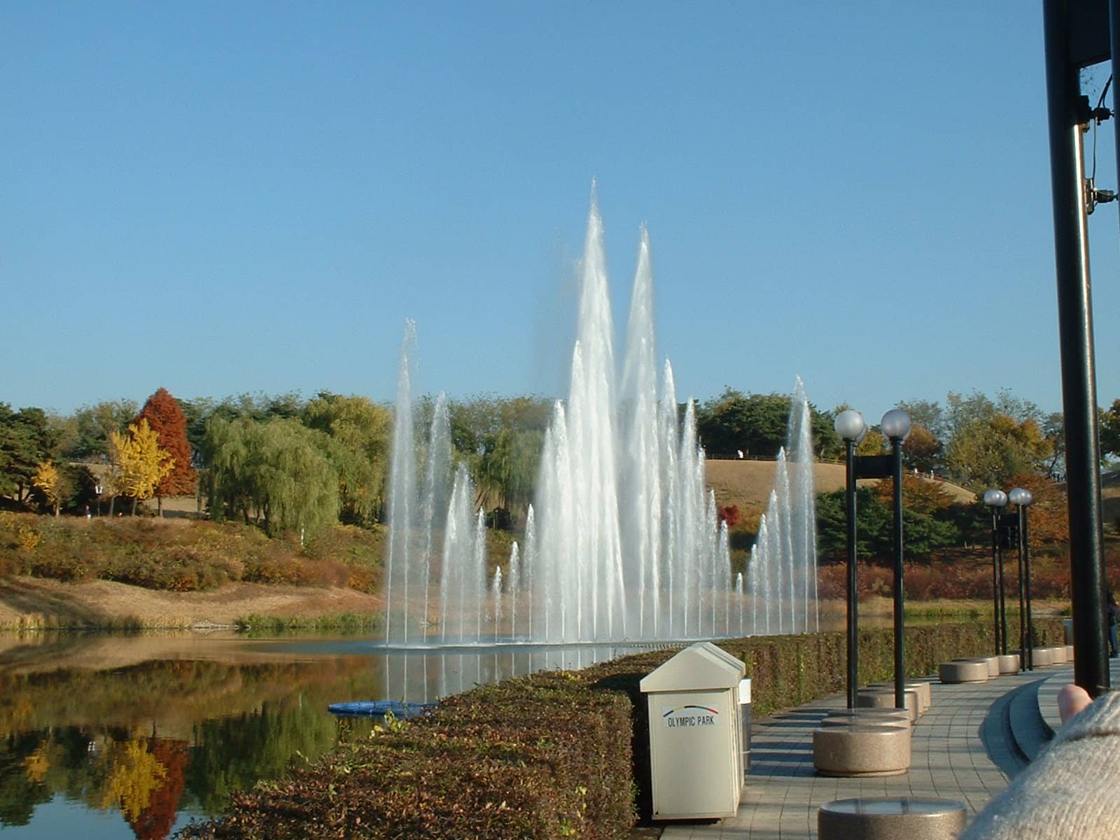 The Pond