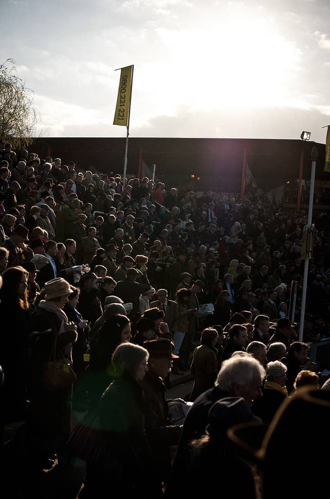 The Roaring Crowd