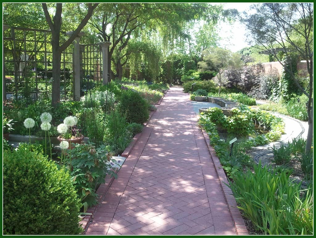 Butterfly Garden
