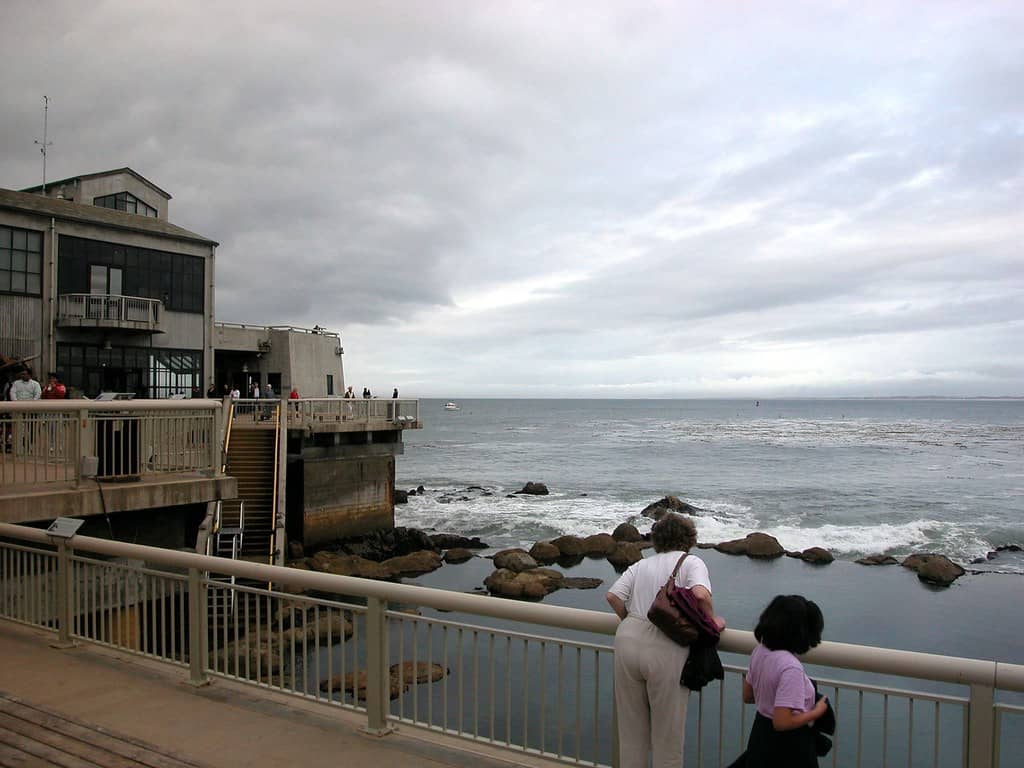 Oceanfront Strolls
