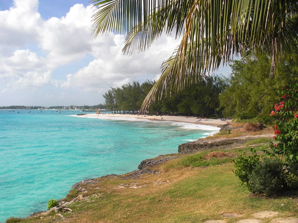 Scenic Beach Walks