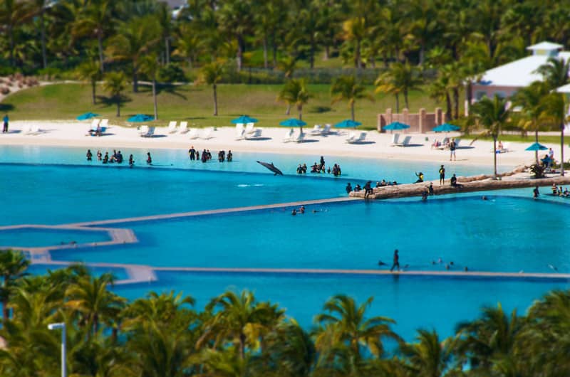 Dolphin Cay