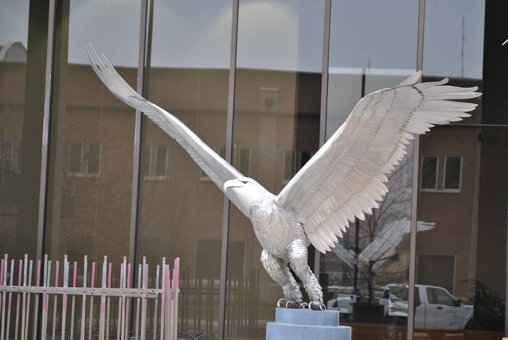Rotating Sculptures
