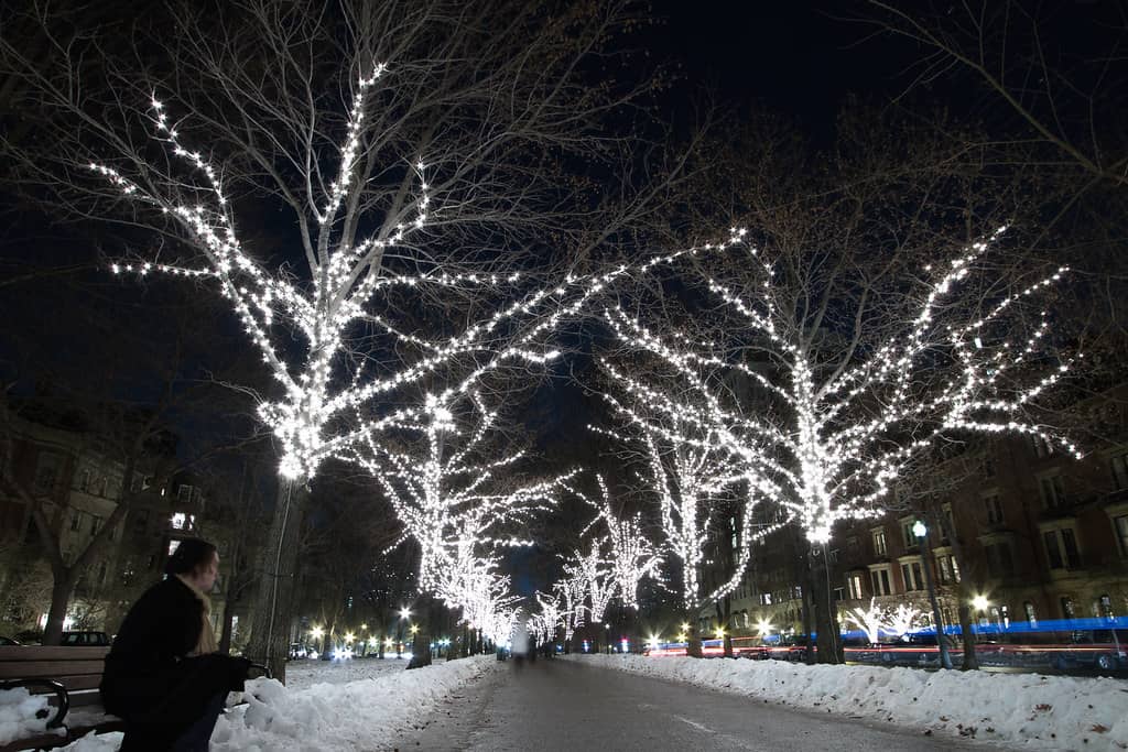 Winter Wonderland