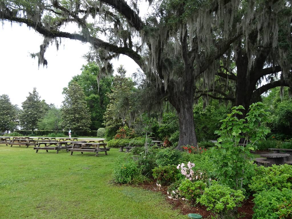 Expansive Historic Grounds
