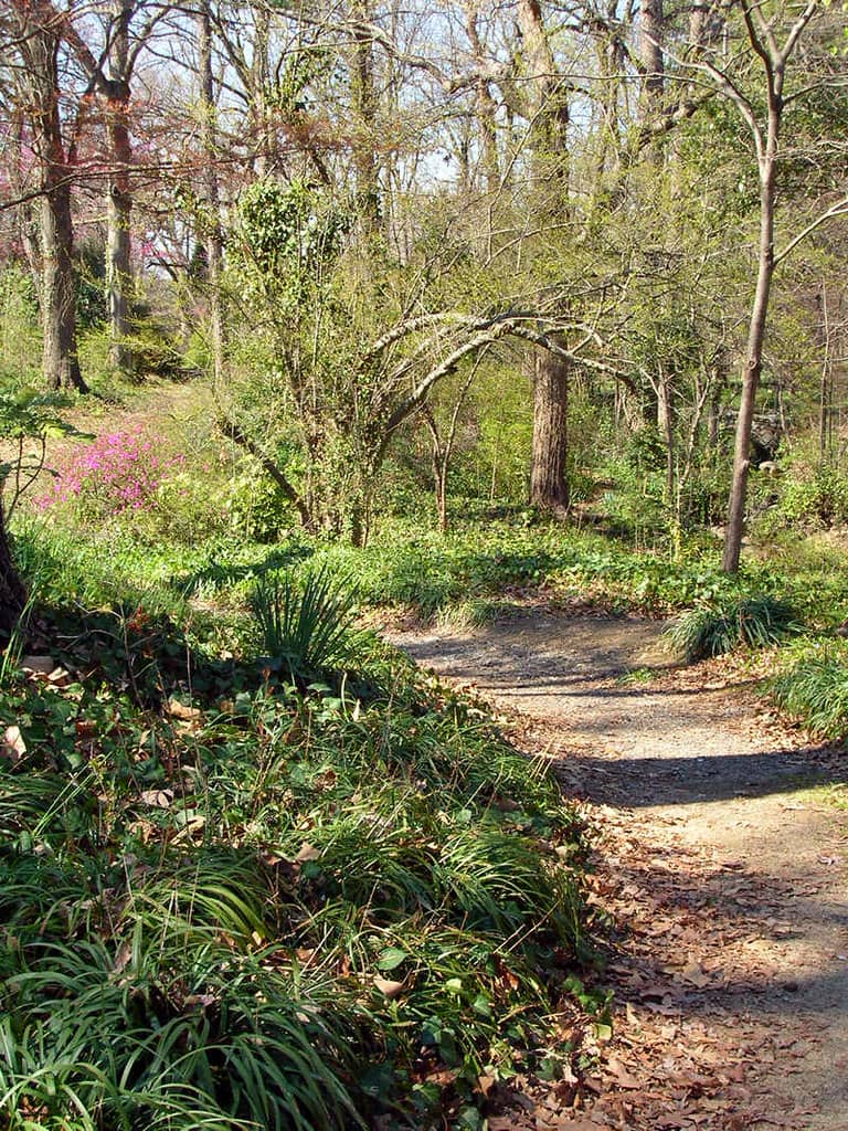 Fisher Park Grounds