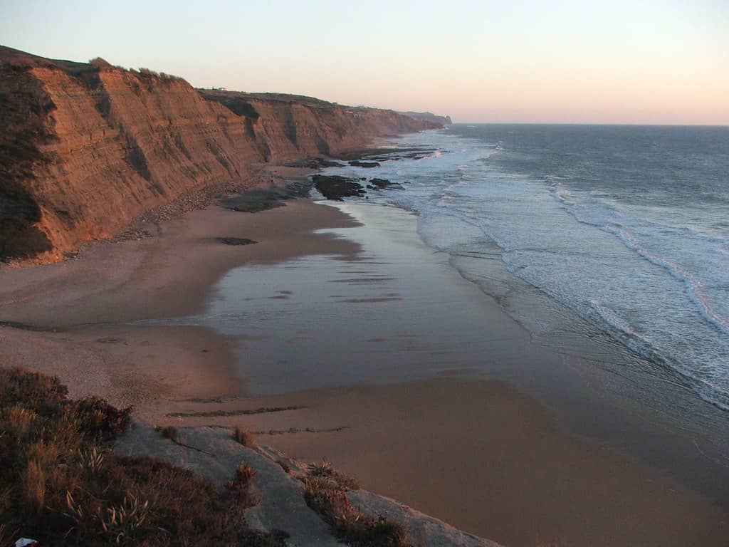 Expansive Sandy Shoreline