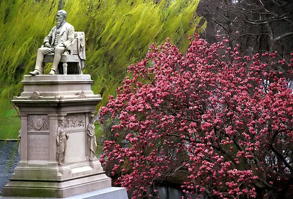 Art in Bloom