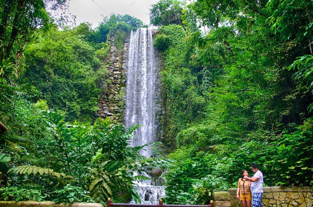 African Treetops