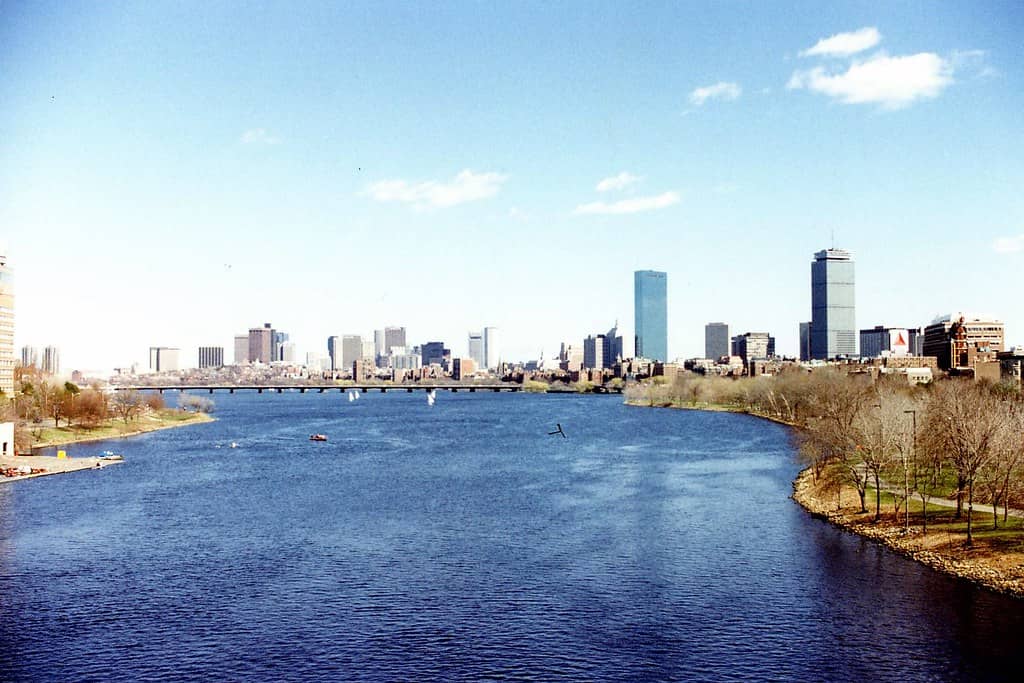 Skyline Views