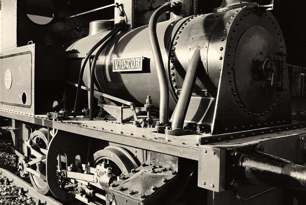 Miniature Train Ride