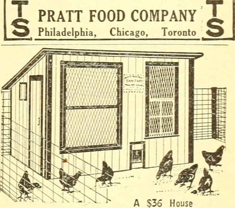 Fresh Local Produce