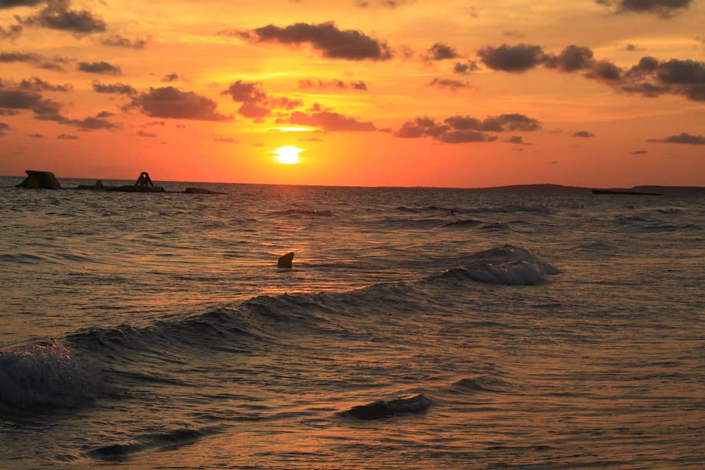 Sunset Spectacle