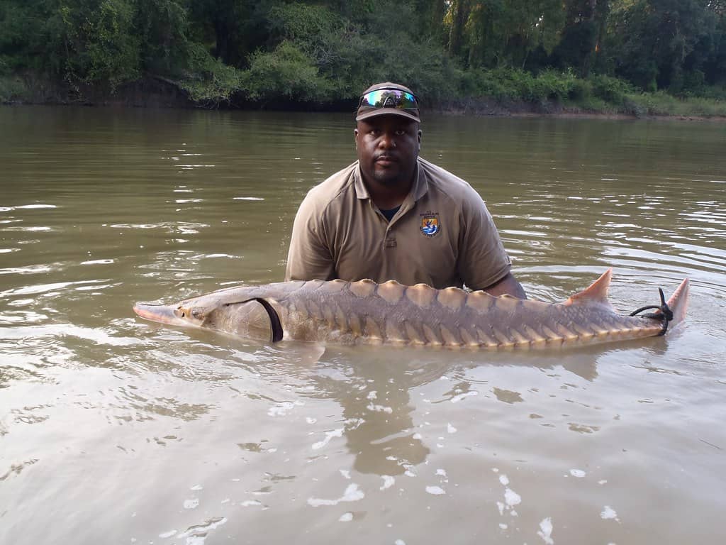 Pearl River Fishing