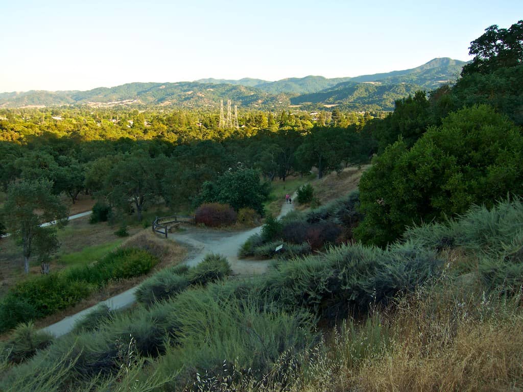 Valley Views