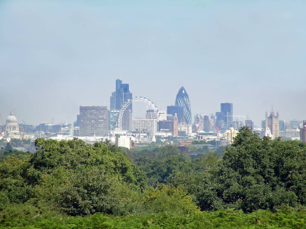 Richmond Hill View