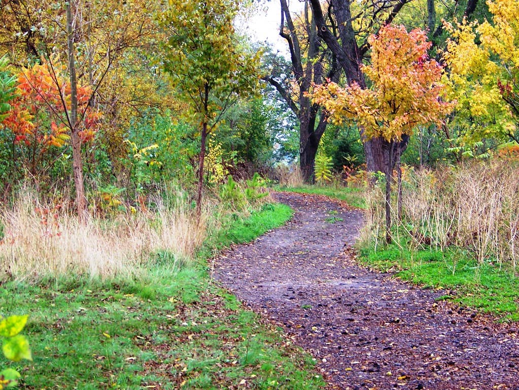 Walking Trails & Green Spaces