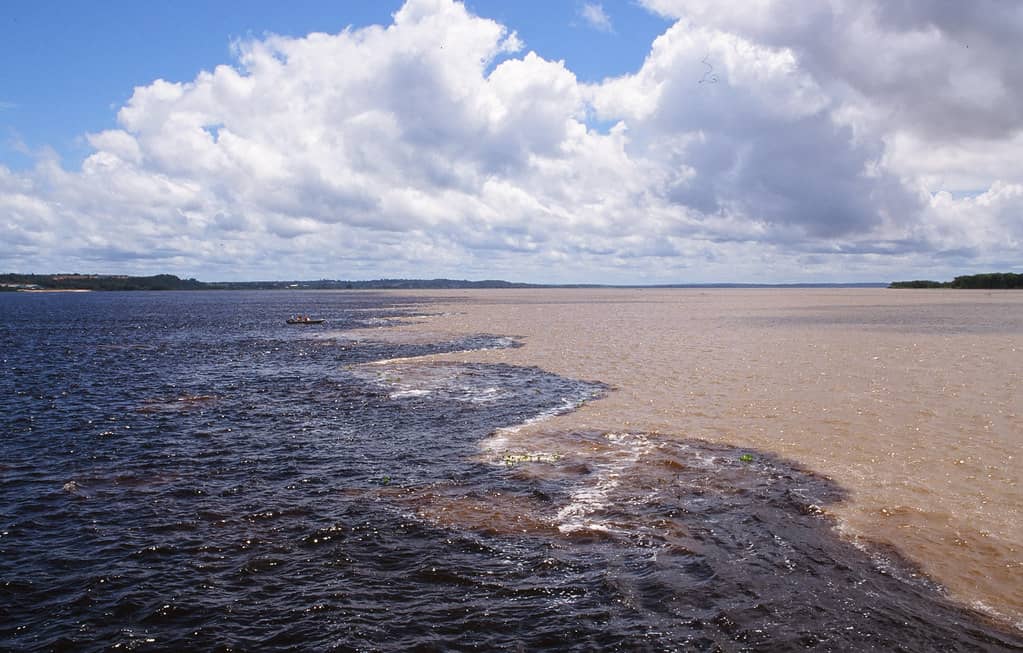 Explore the Confluence of River and Sea