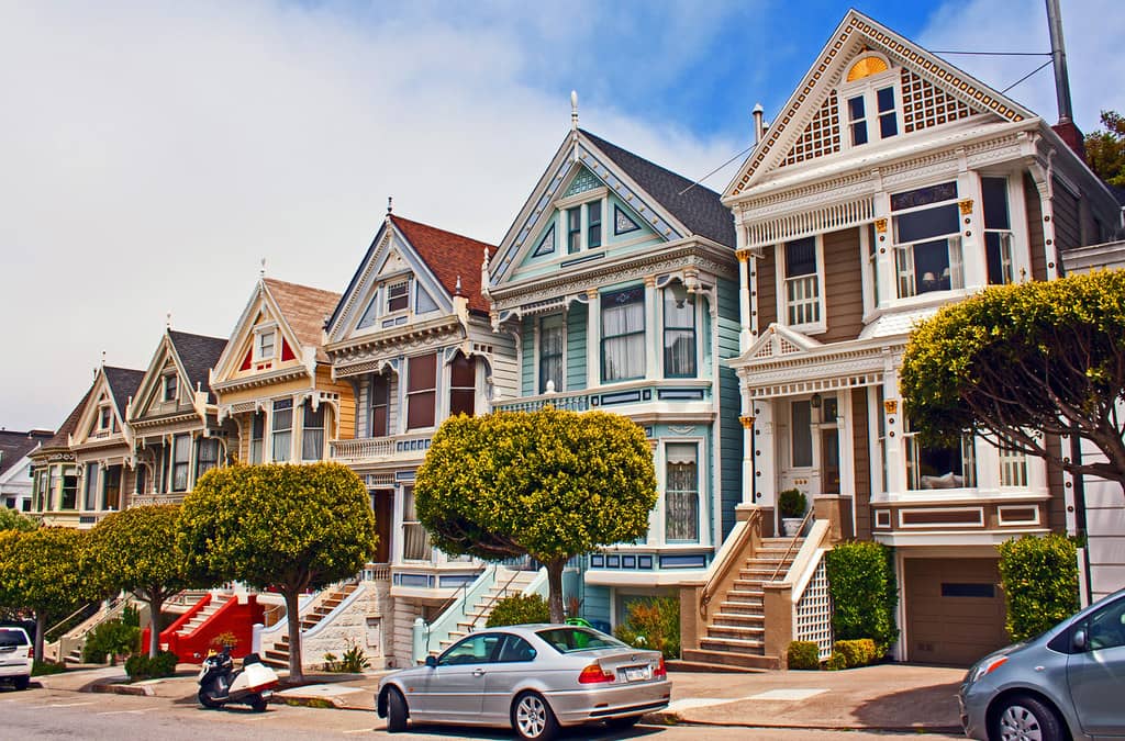 Blue Painted Lady Micro Museum