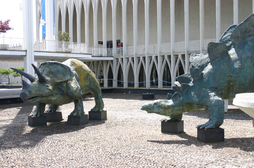 Dinosaur Exhibit