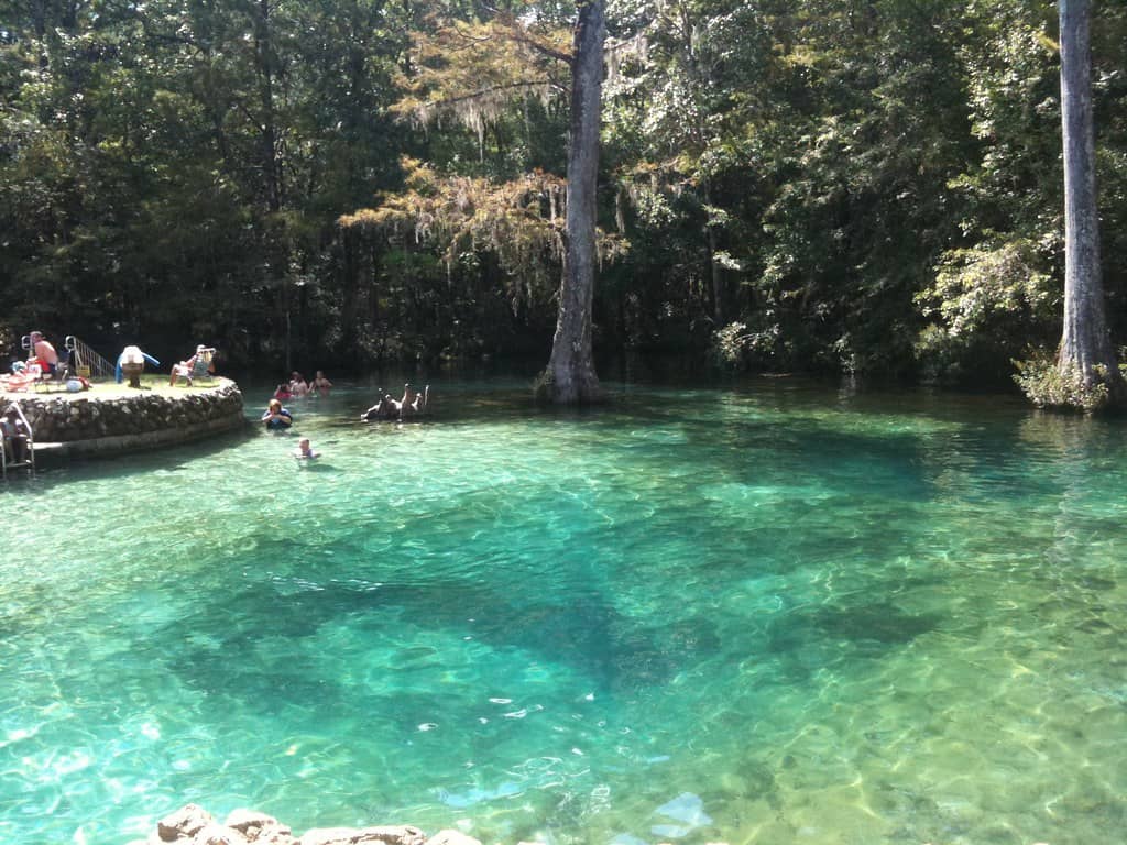 The Spring Swimming Area