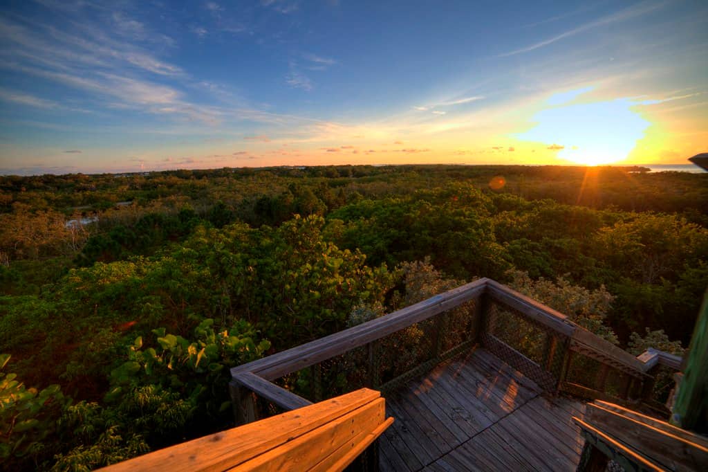 Observation Tower