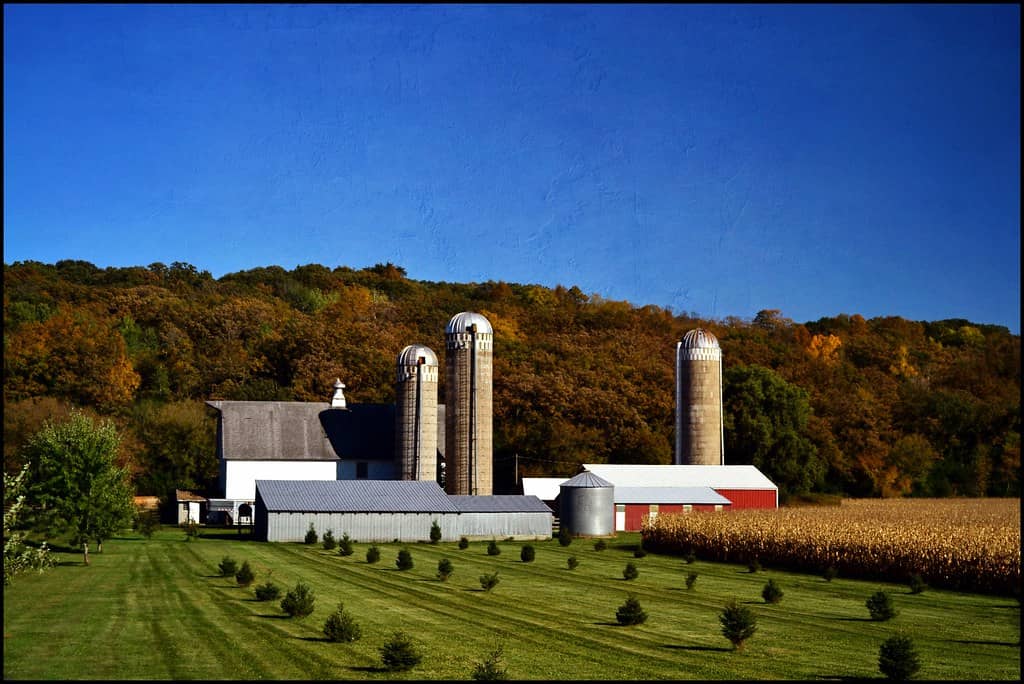 Silo Viewpoint