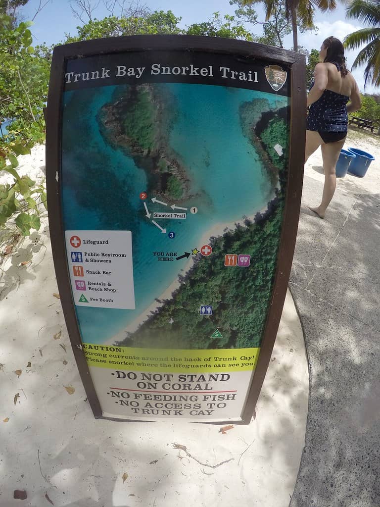Reef Snorkeling Opportunities