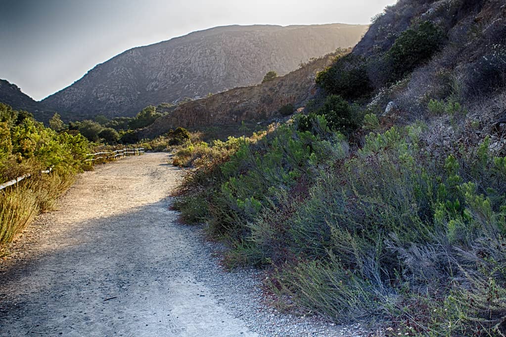 Visitor Center Loop Trail
