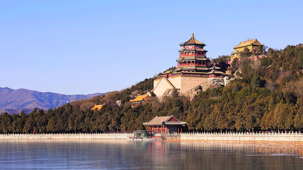 Longevity Hill