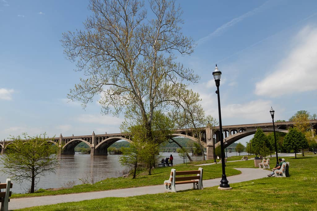 Riverfront Serenity