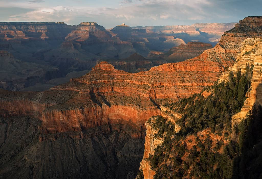 Panoramic Canyon Views
