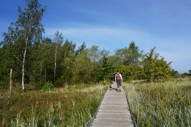 Wetland Trails