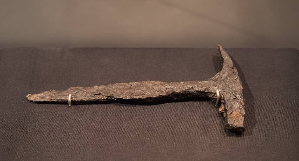Pompeii: The Exhibition
