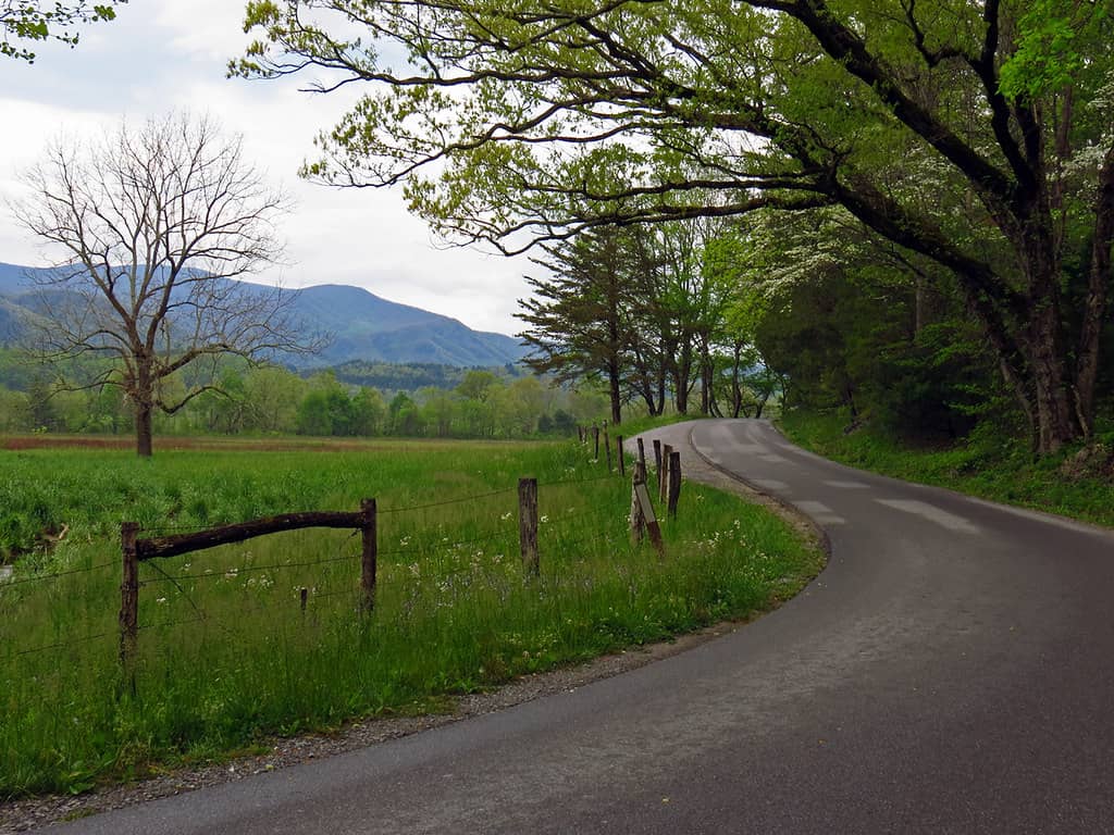 Scenic Loop Drive