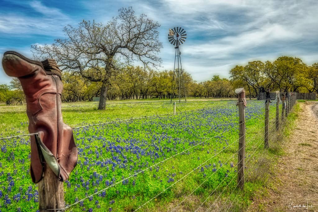 The Boot Fence
